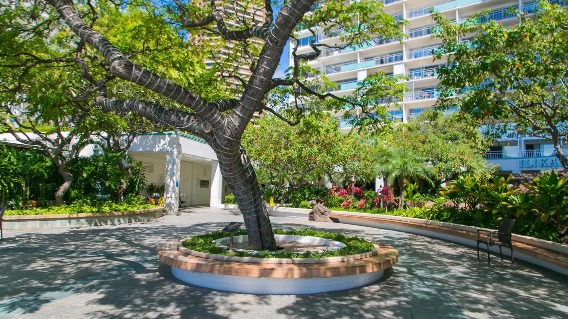 Apartmán Ilikai Tower 1844 Yacht Harbor View 2Br Honolulu
